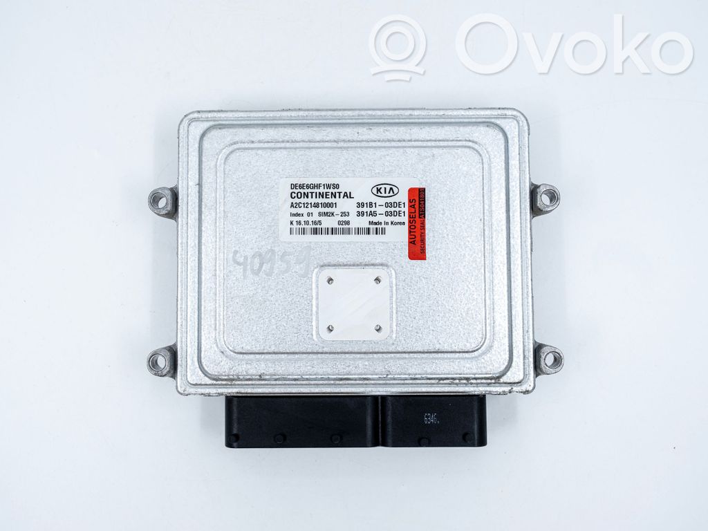 KIA Niro Engine control unit/module 