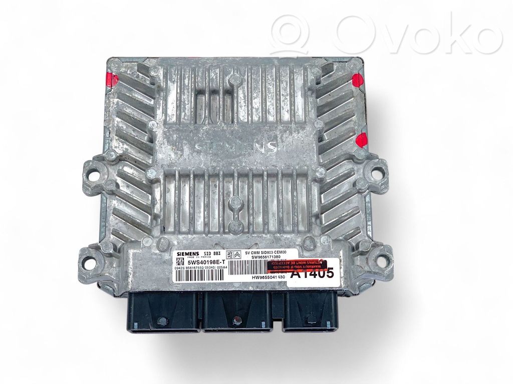 Citroen C5 Engine control unit/module 