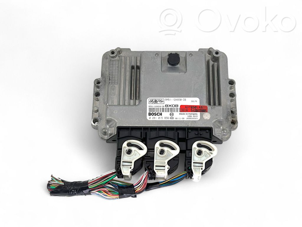 Ford Focus Engine control unit/module 