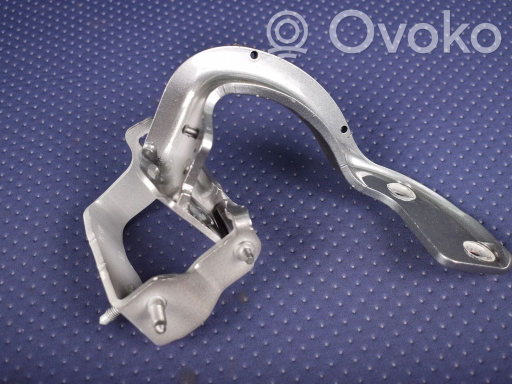 Tailgate/trunk/boot hinge