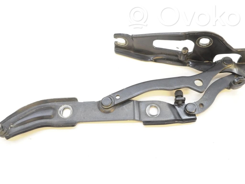 Tailgate/trunk/boot hinge   7060627