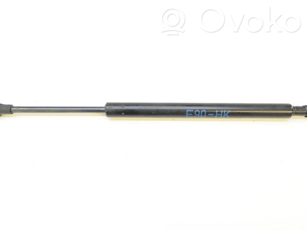 Tailgate/trunk strut/damper   51247060623