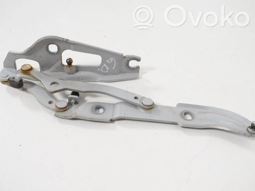 Tailgate/trunk/boot hinge   7060628