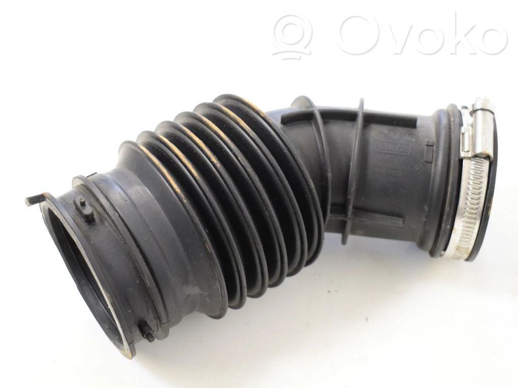 Ford Ecosport Šļūtene (-es) / caurule (-es) 