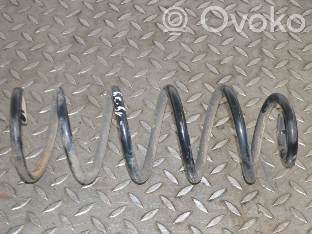 Rear coil spring
