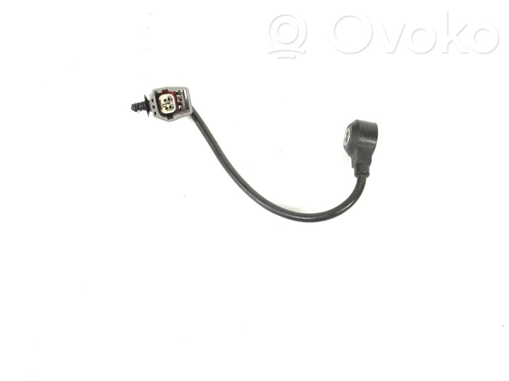 Detonacinis daviklis   167A12A699AB