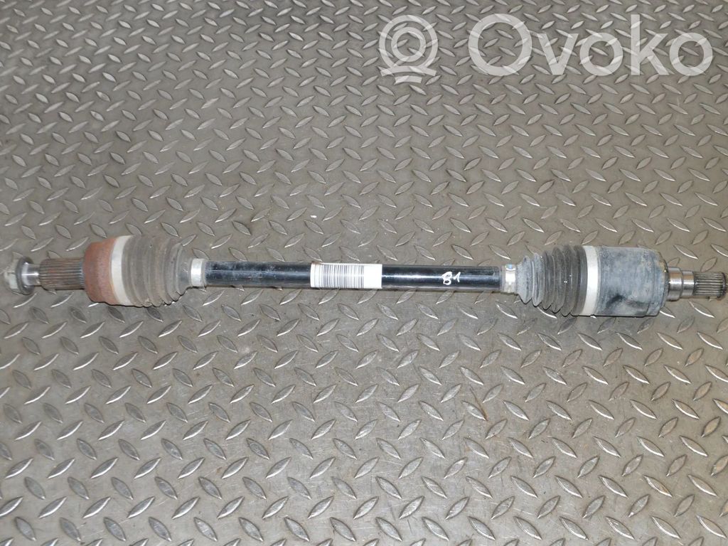 Galinis pusašis   FK724K138AB