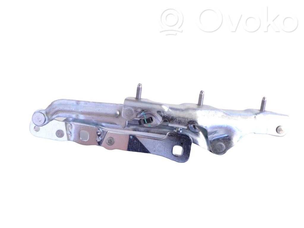 Tesla Model 3 Tailgate/trunk/boot hinge 