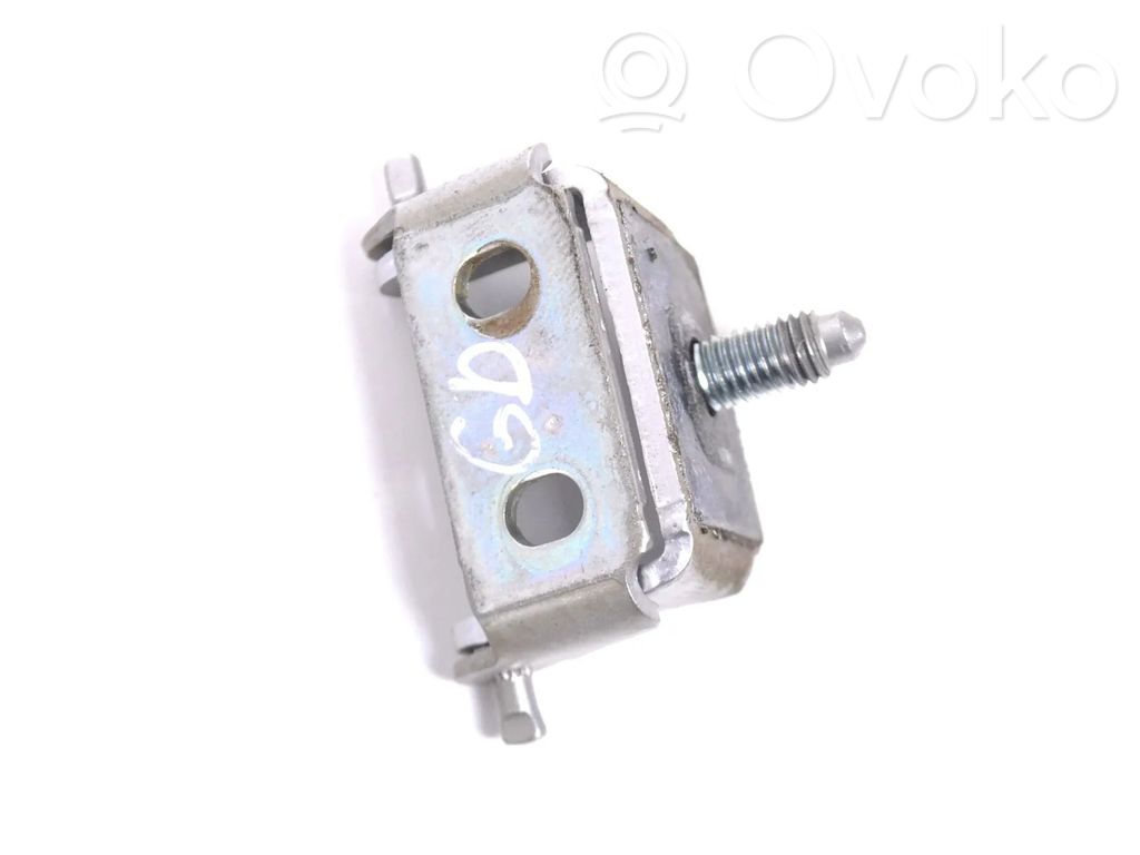 Tailgate/trunk/boot hinge
