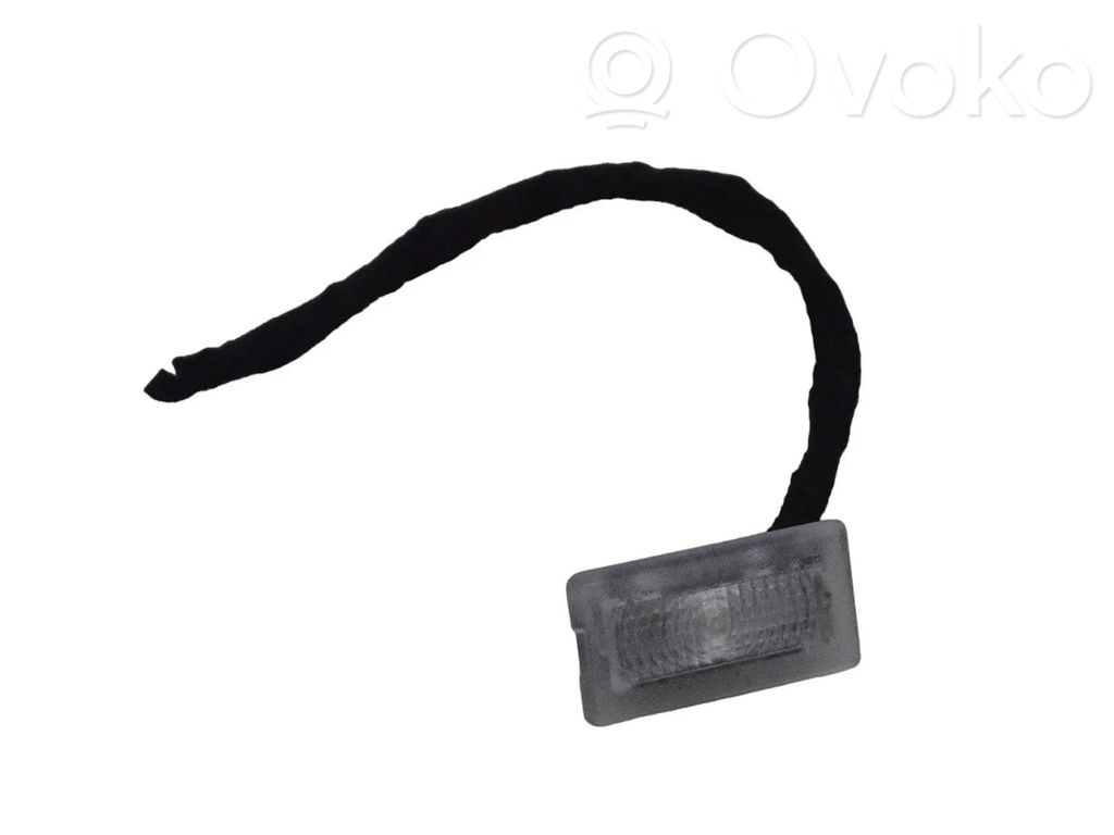 Infiniti M Y51 Front seat light 
