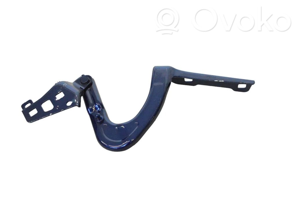 Tesla Model Y Engine bonnet/hood hinges 