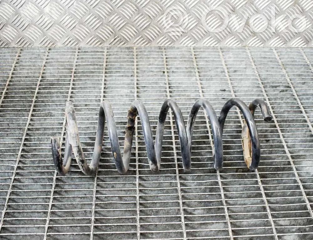 Muelle espiral trasero