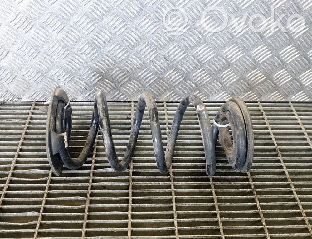 Tesla Model 3 Rear coil spring 