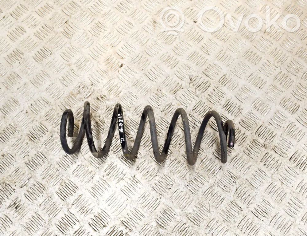 Rear coil spring