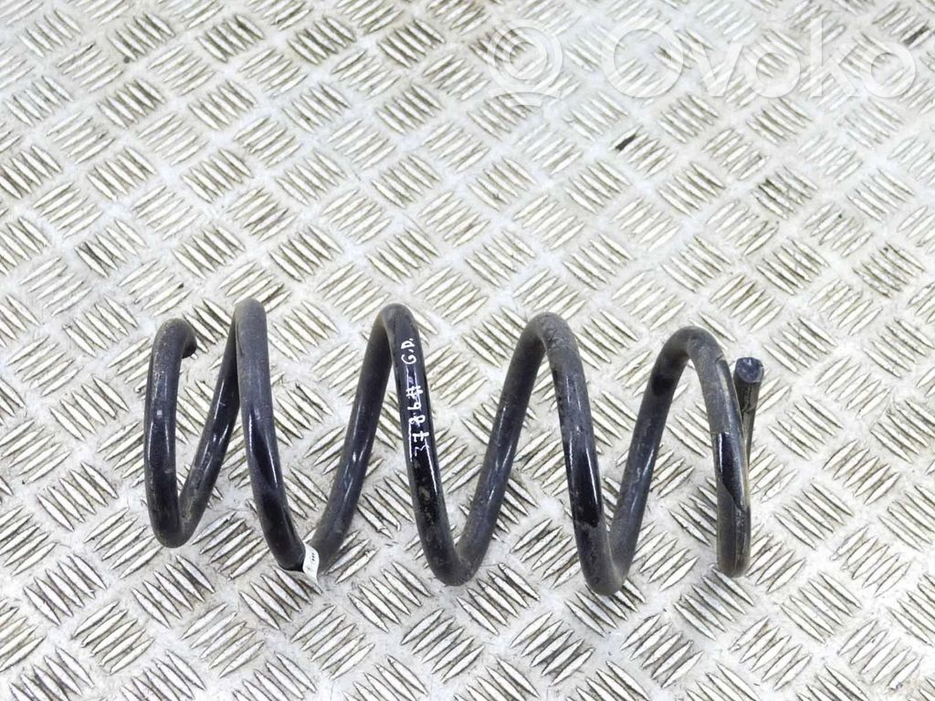 Rear coil spring   104447201E