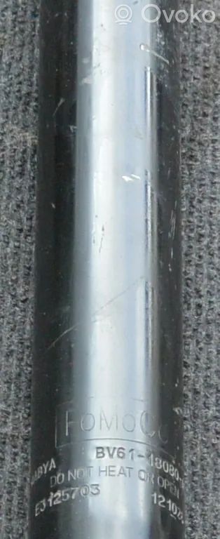 Ford Focus Rear shock absorber/damper 