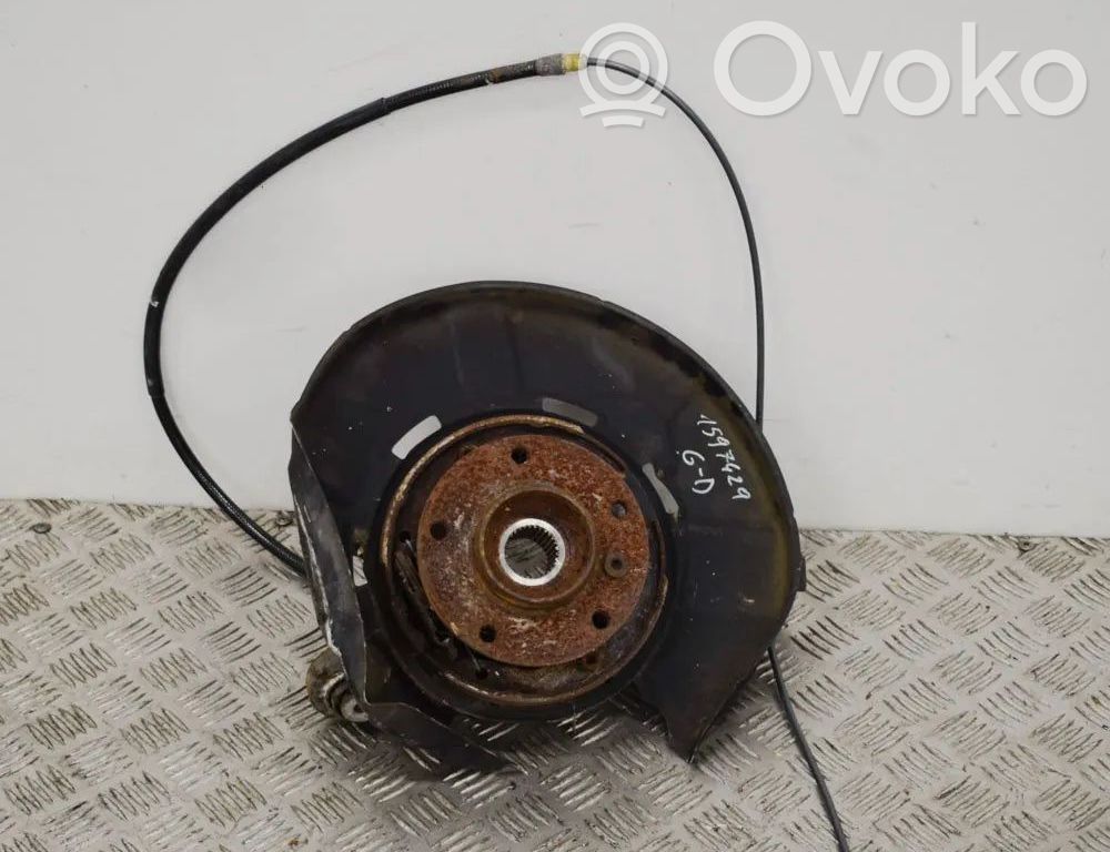 Galinė stebulė   6788050