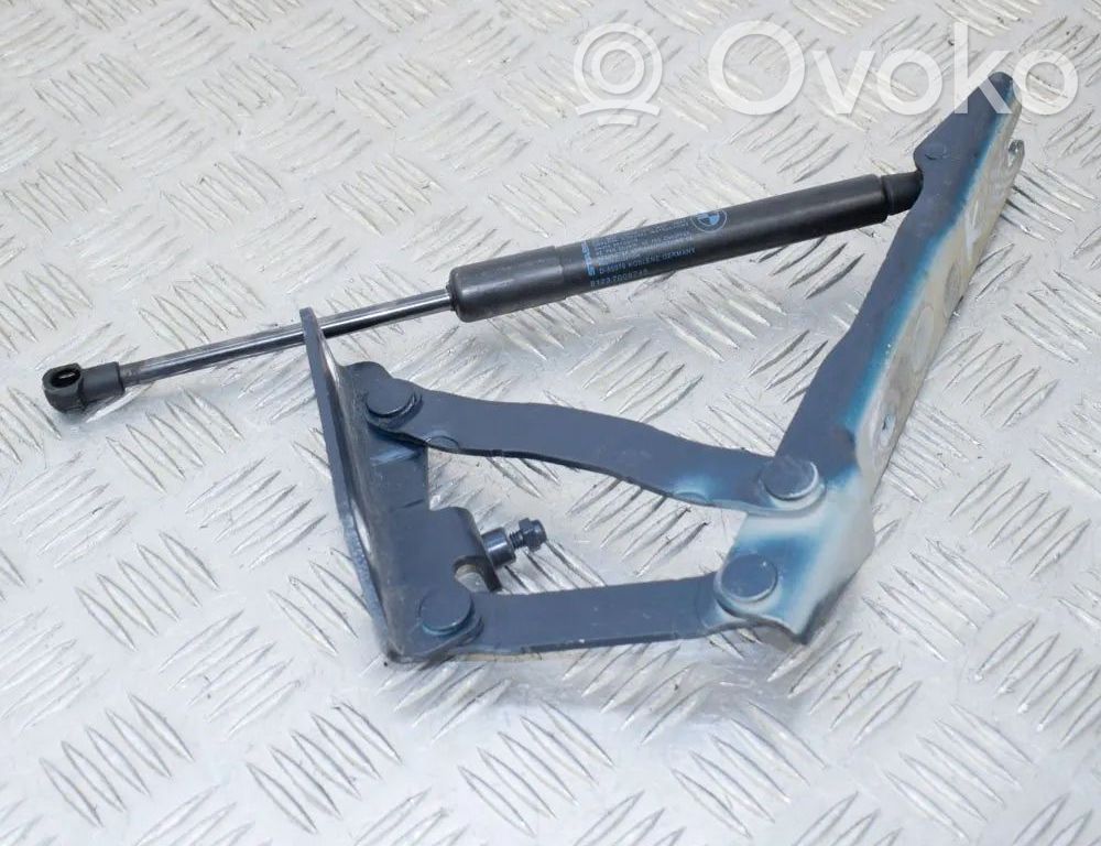 Engine bonnet/hood hinges   7008727