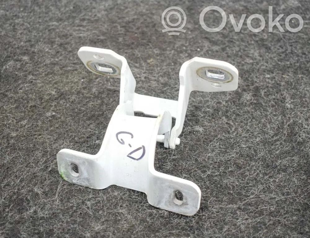 Tailgate/trunk/boot hinge   092712