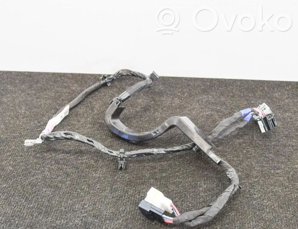 Tesla Model X Cableado de puerta trasera 
