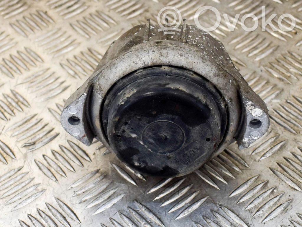 Dzinēja spilvens   13981112