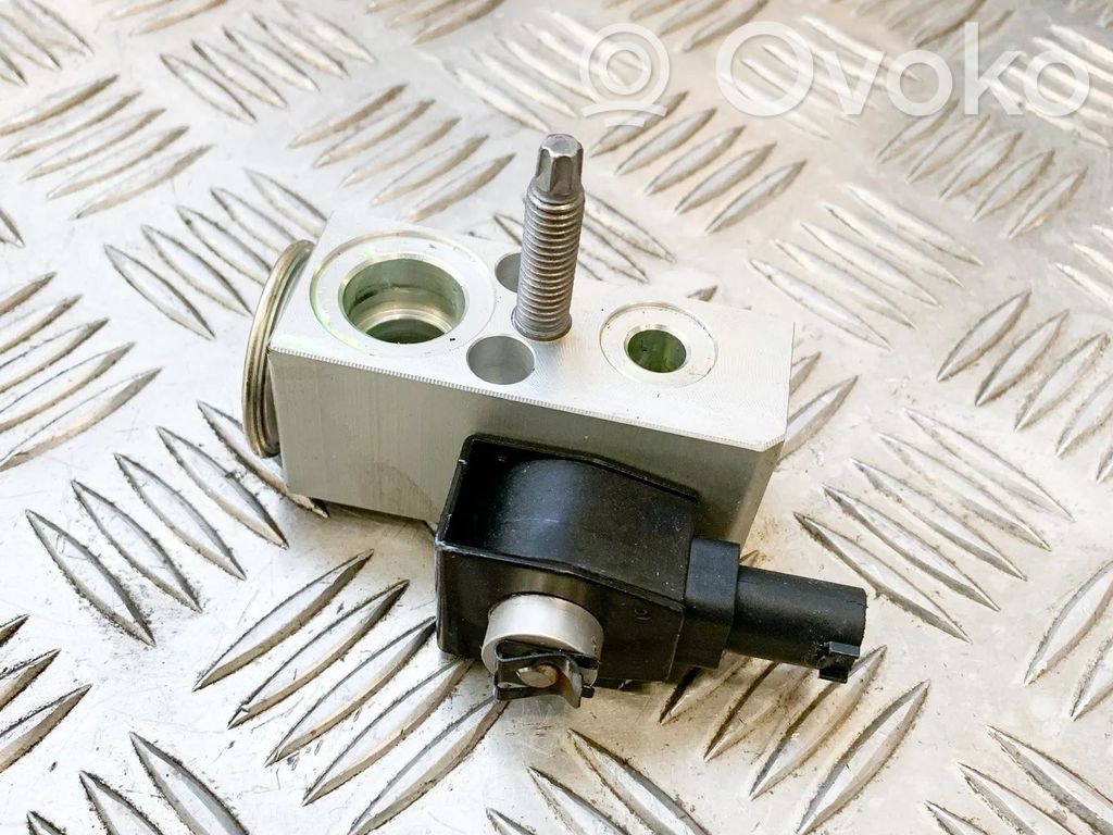 Ilmastointilaitteen laajennusventtiili (A/C)   110187800A