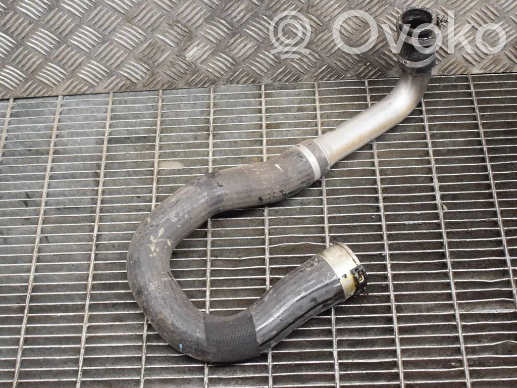 Wąż / Rura intercoolera   94516221