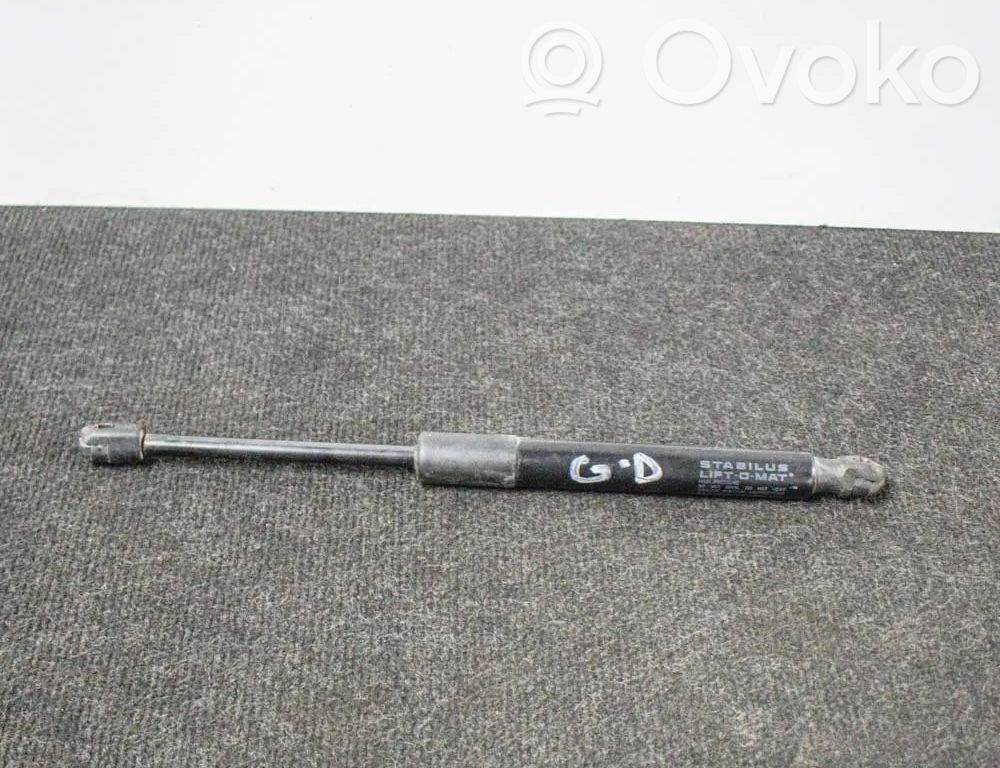 Tesla Model 3 Tailgate/trunk strut/damper 