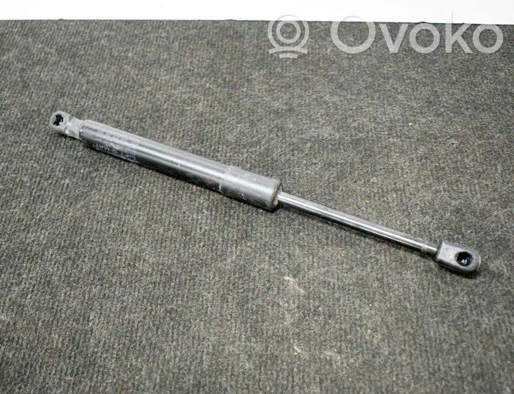 Tesla Model 3 Tailgate/trunk strut/damper 