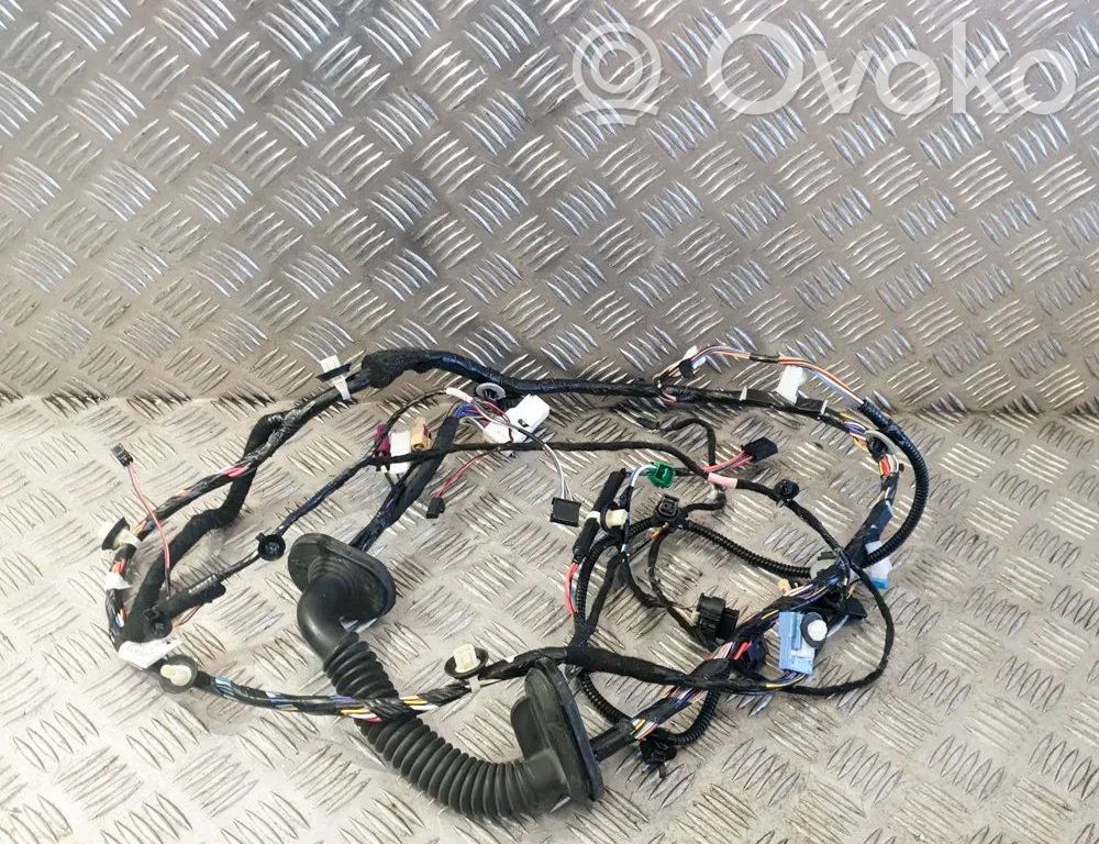 Tesla Model 3 Cableado de puerta delantera 