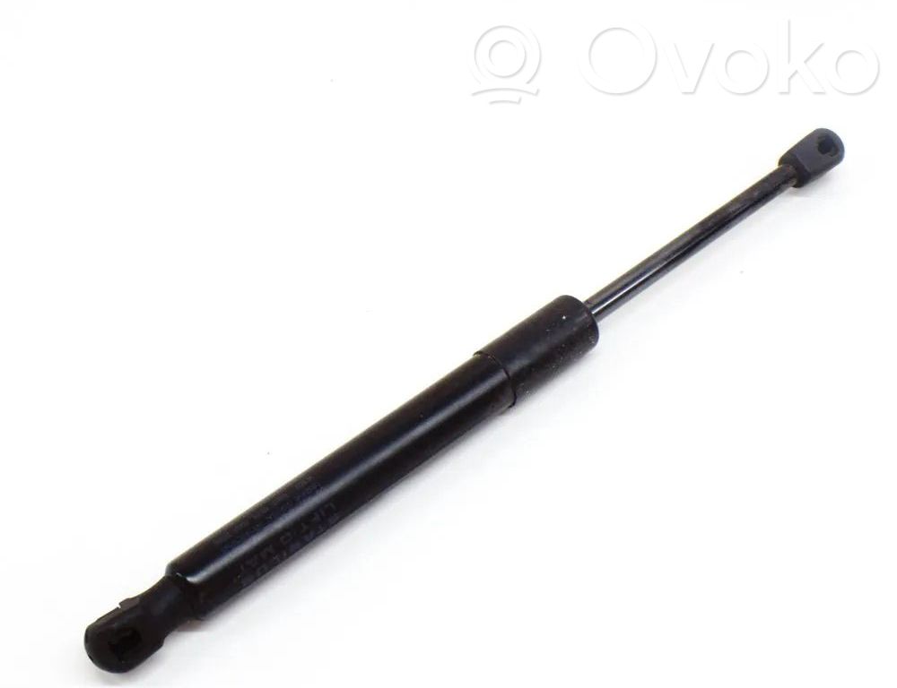 Tesla Model 3 Tailgate/trunk strut/damper 