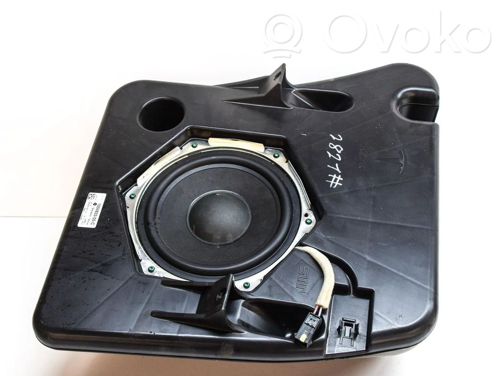 Altavoz subwoofer   100483305C