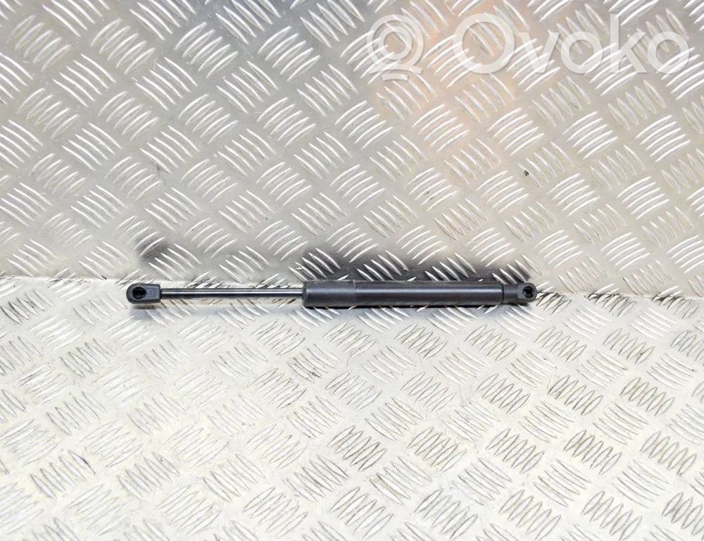 Tesla Model 3 Tailgate/trunk strut/damper 