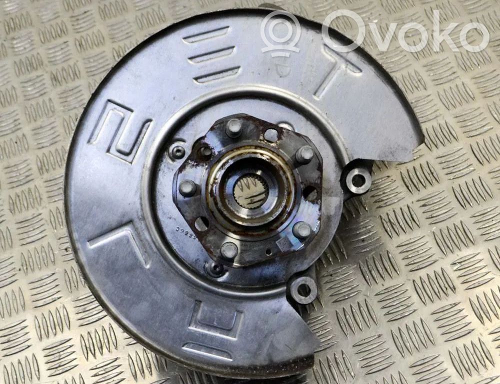 Cubo de rueda trasera   104412300B,1044666C
