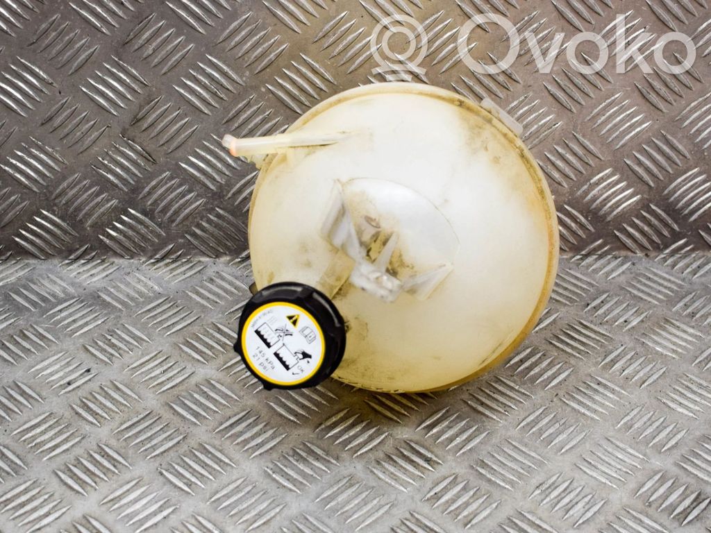 Depósito del refrigerante   3M5H8100AD,6C118K218AC