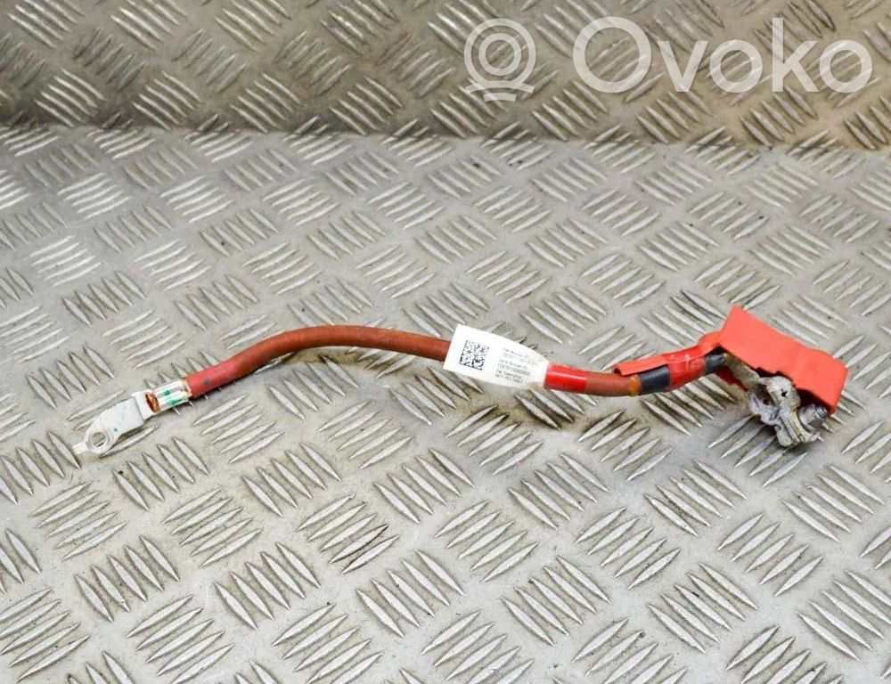 Tesla Model 3 Pliusinis laidas (akumuliatoriaus) 
