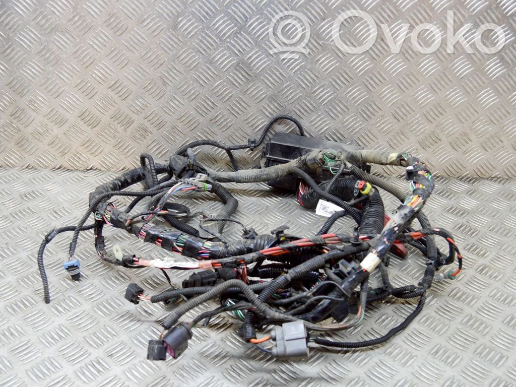 Otros cableados   100909604H