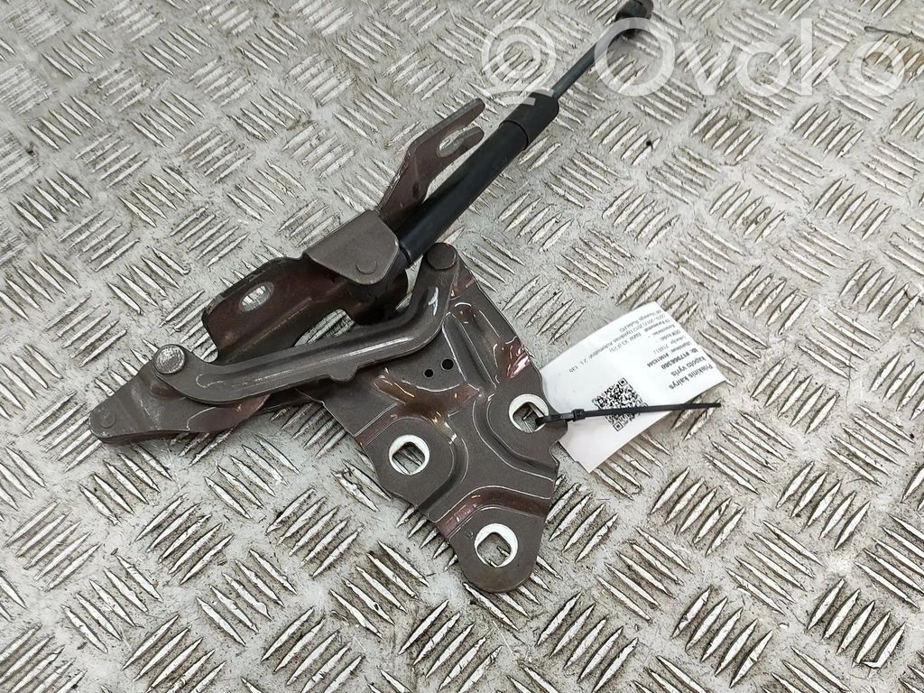 BMW X3 F25 Cerniere del vano motore/cofano 