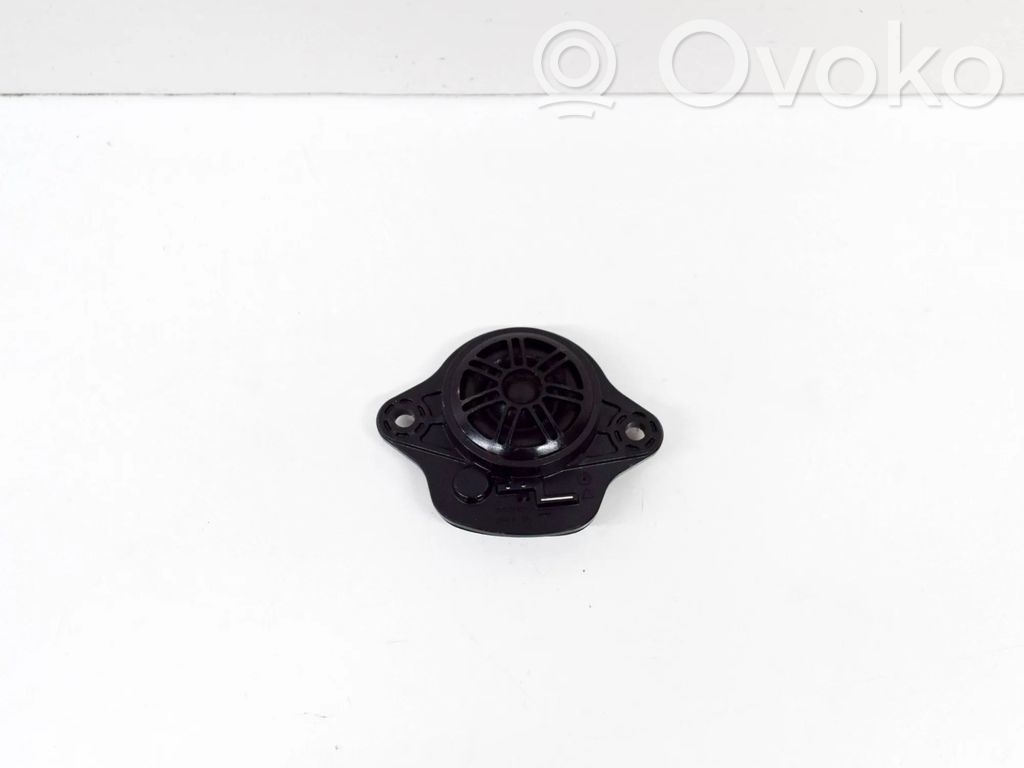 Panel speaker   109873700B