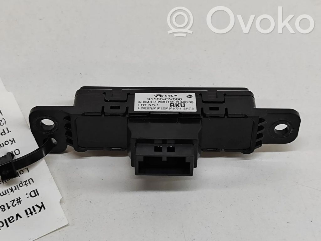 KIA EV6 Alte dispozitive 
