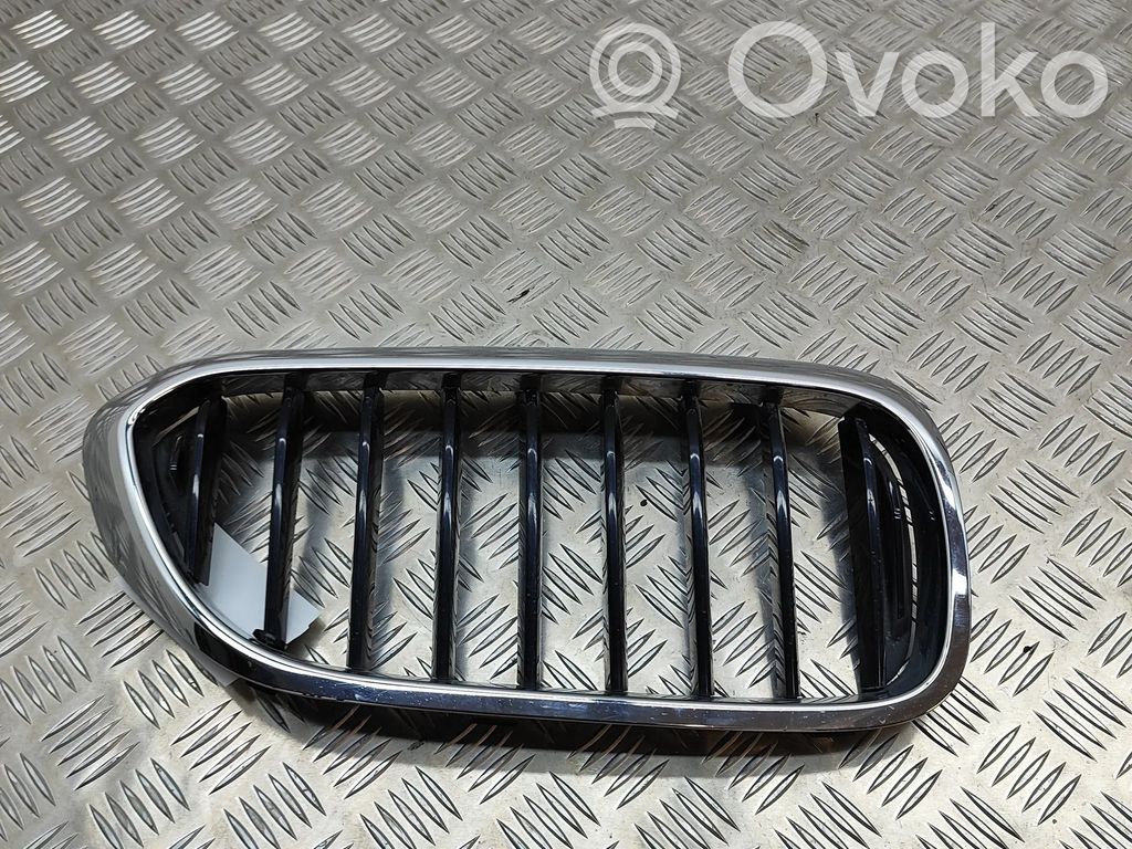BMW 5 G30 G31 G38 Grilă față 