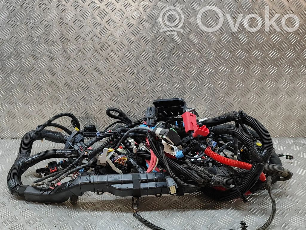 Tesla Model Y Other wiring loom 
