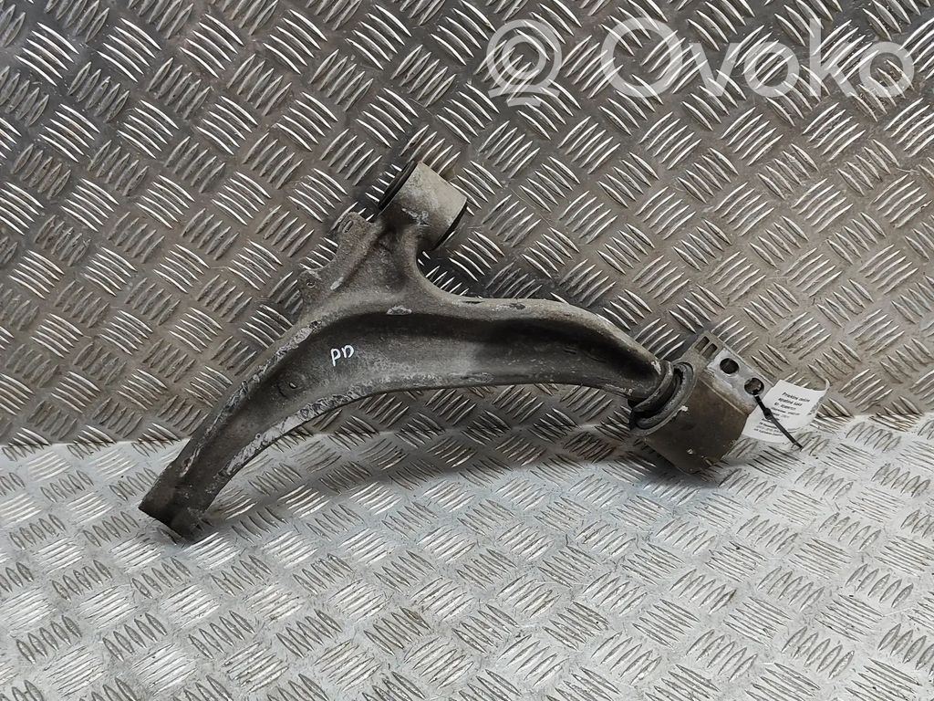 Dakša   13371819