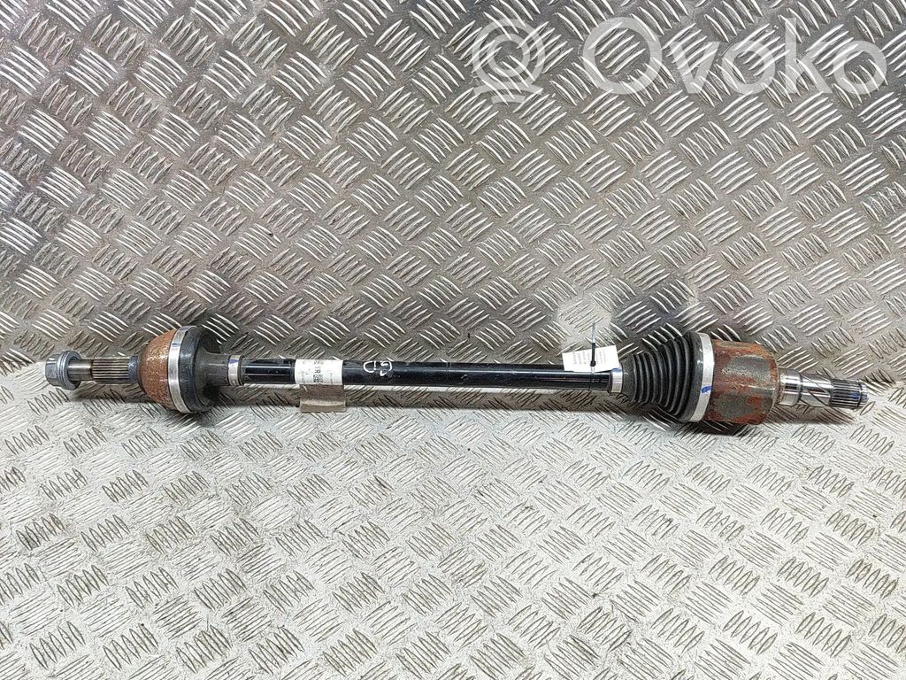 Galinis pusašis   118816500A
