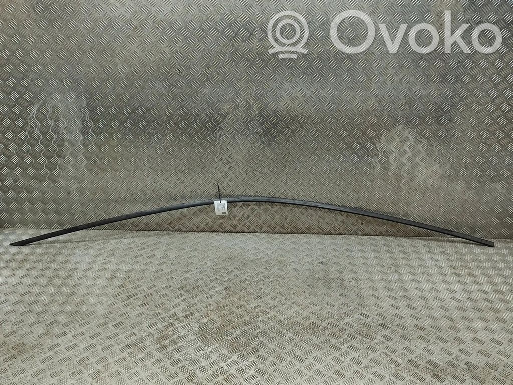 Volkswagen ID.3 Listwa dachowa 