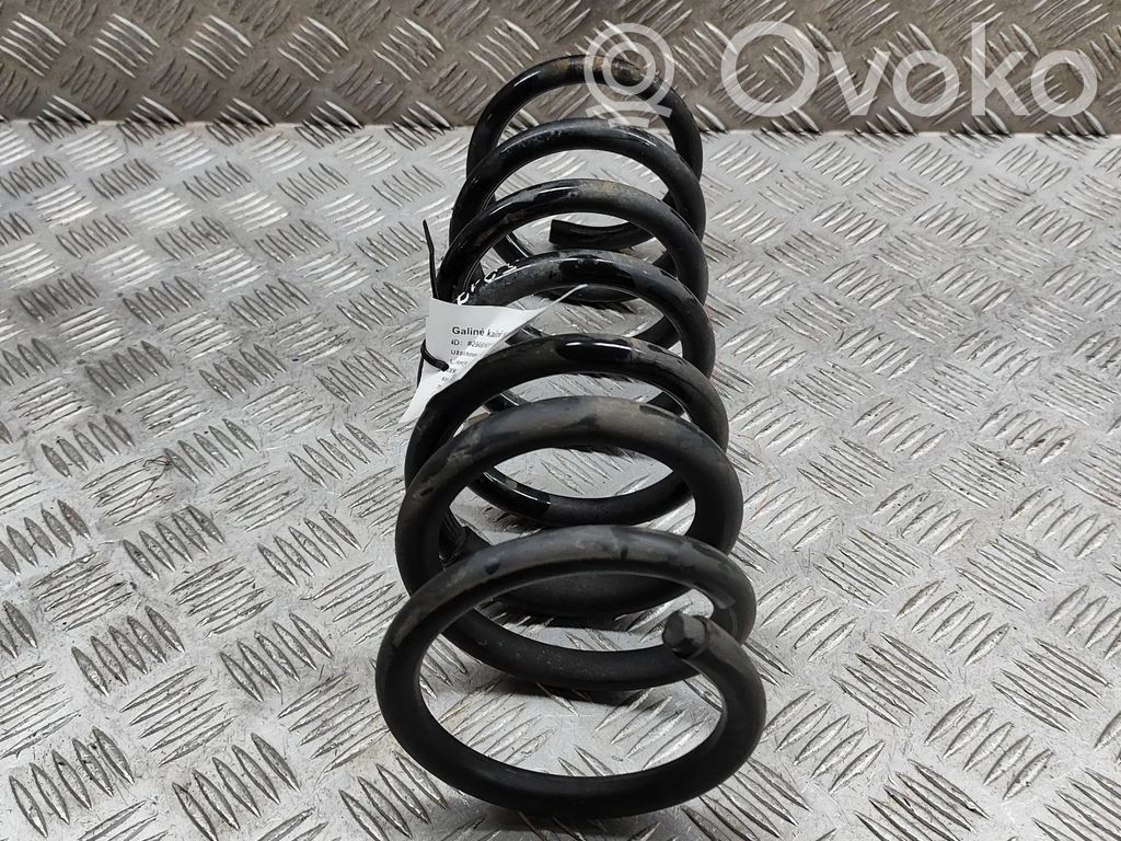 Rear coil spring   9824534080