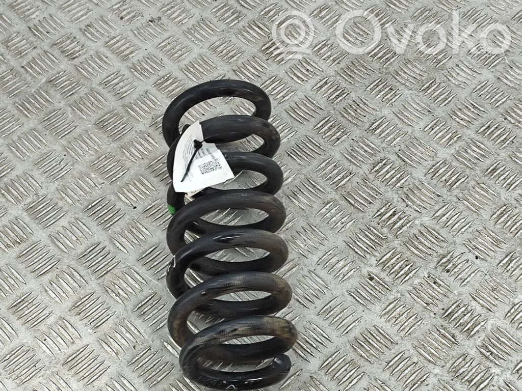 Sprężyna tylna   A1673207601