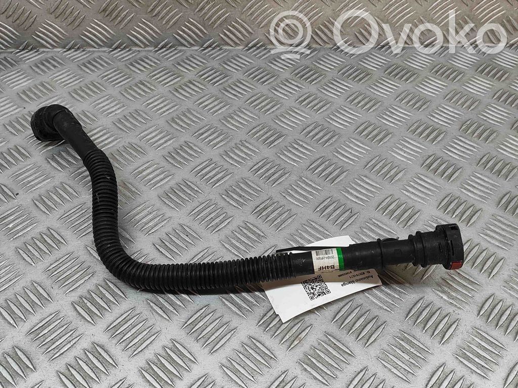 Hyundai Kona II Tubo flessibile del liquido di raffreddamento del motore