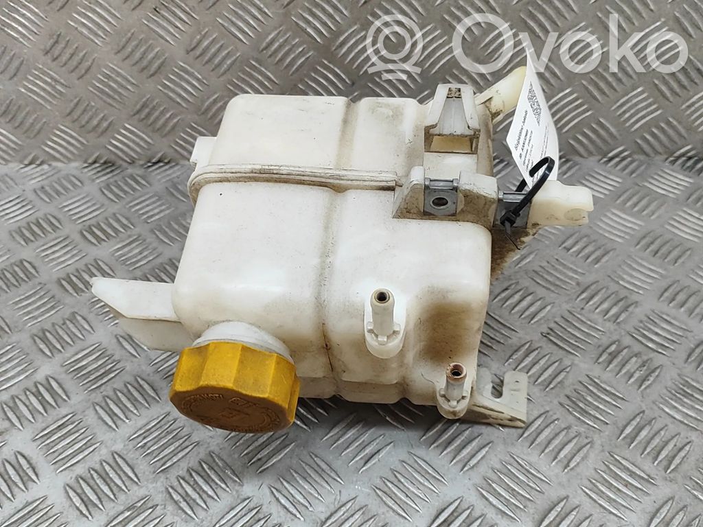 Chevrolet Captiva Vas expansiune/rezervor lichid de răcire 