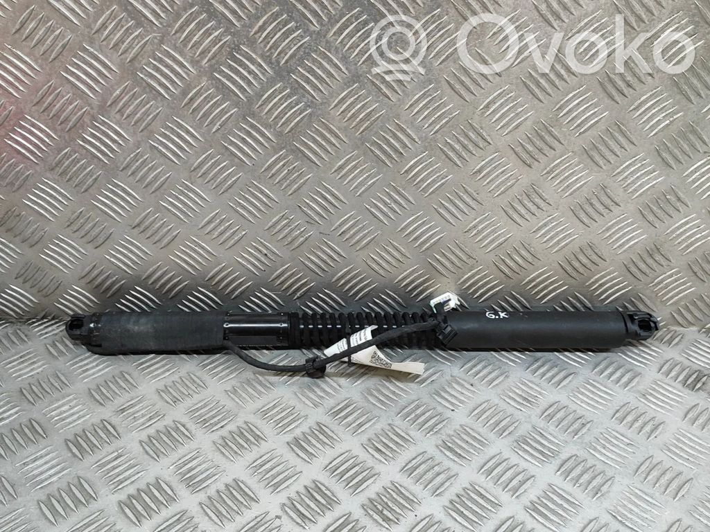 Tesla Model X Altri dispositivi